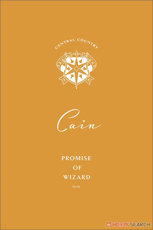 Promise of Wizard Cushion & Cover Cain (Anime Toy) Item picture2