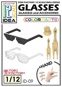 Sunglasses and Accessories (Plastic model)