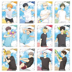 Haikyu!! To The Top Portrait Collection (Set of 12) (Anime Toy)