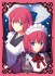 ブロッコリーキャラクタースリーブ 月姫 「翡翠＆琥珀」 (カードスリーブ) 商品画像1 サムネイル
