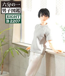 1/6 Men`s Picture Book B2207 Eight (Fashion Doll)