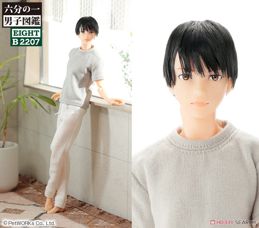 1/6 Men`s Picture Book B2207 Eight (Fashion Doll) Other picture1