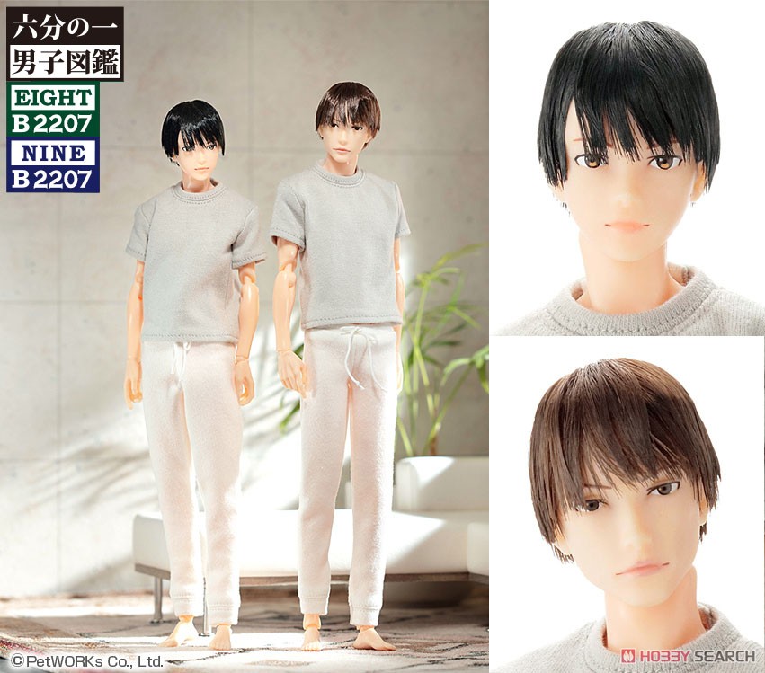 1/6 Men`s Picture Book B2207 Eight (Fashion Doll) Other picture2