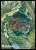 マジック：ザ・ギャザリング プレイヤーズカードスリーブ MTGS-221 『神河：輝ける世界』 「浮世絵」 土地 《森》 (B) (カードスリーブ) 商品画像1