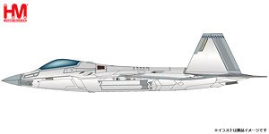 F-22 ラプター `第422試験評価飛行隊 クローム塗装` (完成品飛行機)