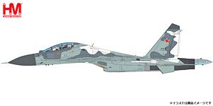 Su-30MK Blue 02, Russia Air Force, Moscow 2009 (Pre-built Aircraft)