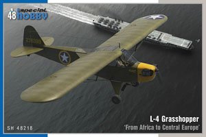 L-4 Grasshopper `From Africa to Central Europe` (Plastic model)