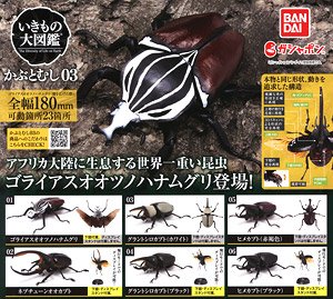 Beetle 03 (Toy)