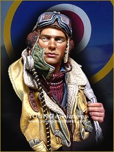 Battle Of Britain RAF Pilot WWII (Plastic model)
