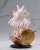 Time Rabbit Yuki (PVC Figure) Item picture3