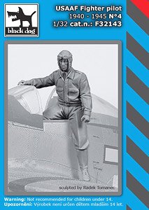 アメリカ陸軍航空軍 戦闘機パイロット 1940～45年 No.4 (プラモデル)