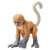 Ania AC-11 Proboscis Monkey (Child) (Animal Figure) Item picture1