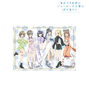 Rascal Does Not Dream of Bunny Girl Senpai [Especially Illustrated] Assembly China Dress Ver. Clear File (Anime Toy)