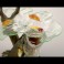 Strike Fantasy Micropterus Salmoides (Completed) 商品画像5 Thumbnail