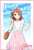 Love Live! Nijigasaki High School School Idol Club Bromide Collection Summer Uniform (Set of 13) (Anime Toy) Item picture2