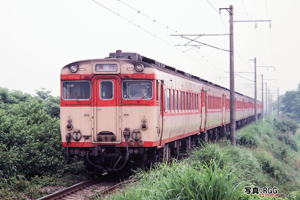J.N.R. Ordinary Express Series KIHA58 `Tokiwa` Set (5-Car Set) (Model Train) その他の画像3