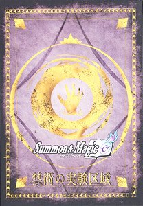 Summon & Magic Pre-built Themed Deck Forbidden Experimental Area (Trading Cards)