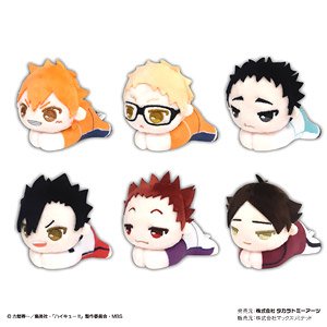 Haikyu!! Hug Character Collection 5 (Set of 6) (Anime Toy)