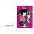 The Tatami Galaxy Clear File (DVD & BD Vol.4 Visual) (Anime Toy) Item picture1