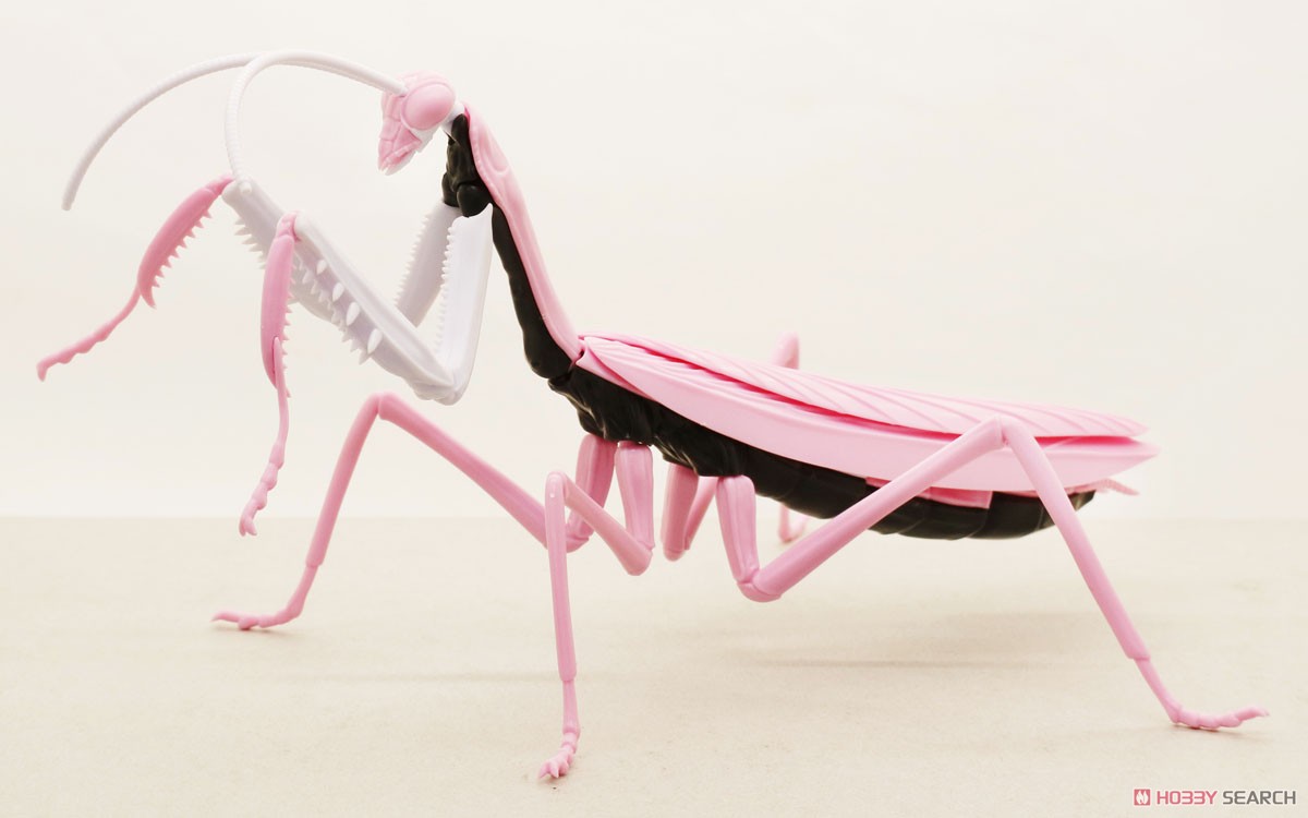Evangelion Edition Big Mantis Type Unit-08 (Plastic model) 商品画像1