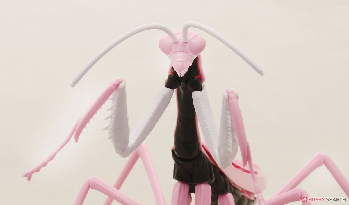 Evangelion Edition Big Mantis Type Unit-08 (Plastic model) 商品画像2