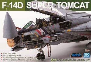 F-14D Super Tomcat Special Edition (Plastic model)