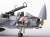 F-14D Super Tomcat Special Edition (Plastic model) Item picture3