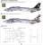 F-14D Super Tomcat Special Edition (Plastic model) Color2