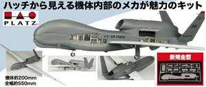 USAF RQ-4B Global Hawk `Type Maintenance` (Plastic model)