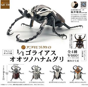 アニマリエコレクション 1/1 ゴライアスオオツノハナムグリ (4個セット) (完成品)