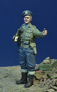 WWII Canadian Pilot (Plastic model)