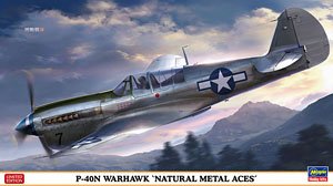 P-40N ウォーホーク `ナチュラルメタル エーセス` (プラモデル)