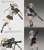 1/12 Little Armory (LS07) M82 Maria Teruyasu Mission Pack (Plastic model) Other picture5