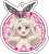 [Fate/kaleid liner Prisma Illya: Licht - The Nameless Girl] [Especially Illustrated] Acrylic Key Ring Bunny Ver. Ilya (Anime Toy) Item picture1