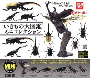 Pictorial book mini collection (Toy)