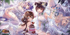 Bushiroad Rubber Mat Collection V2 Vol.491 [Houchishoujo] 4th Anniversary Ver. (Card Supplies)