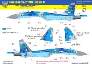 Su-27P1M フランカーB 「ウクライナ デジタル迷彩」 デカール