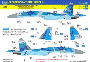 Ukrainian Su-27 P1M Flanker B Digit Camouflage Decal Sheet (Decal)