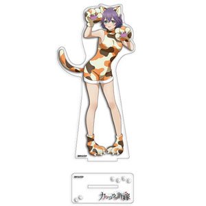 A Couple of Cuckoos [Especially Illustrated] Acrylic Figure Hiro Segawa (Anime Toy)