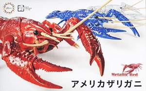 Biology Edition Crayfish (Metallic Red) (Plastic model)