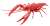 Biology Edition Crayfish (Metallic Red) (Plastic model) Item picture1