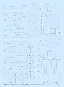 P-38F/G/H Raised Rivets & Surface Details (for Tamiya) (Decal)