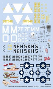 P-38J Over Europe (for Tamiya) (Decal)