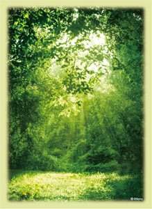 Broccoli Hybrid Sleeve [Fairy Forest] (Card Sleeve)