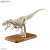 プラノサウルス ティラノサウルス (プラモデル) 商品画像2