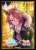 Shadowverse Evolve Official Sleeve Vol.33 Shadowverse Evolve Uma Musume Pretty Derby Narita Taishin (Card Sleeve) Item picture1