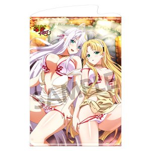 High School DxD Hero B2 Tapestry Rossweisse & Asia Keijo Keikoku Ver. (Anime Toy)