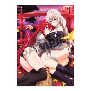 High School DxD Hero Visual Acrylic Plate Rias & Grayfia Nukunuku Sisters Ver. (Anime Toy)