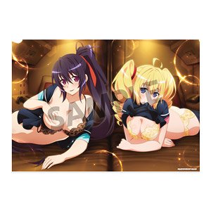 High School DxD Hero Visual Acrylic Plate Akeno & Ravel Flight Ver. (Anime Toy)
