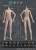 Piccodo Body 20 Doll Body PIC-D004N Natural (Fashion Doll) Other picture1